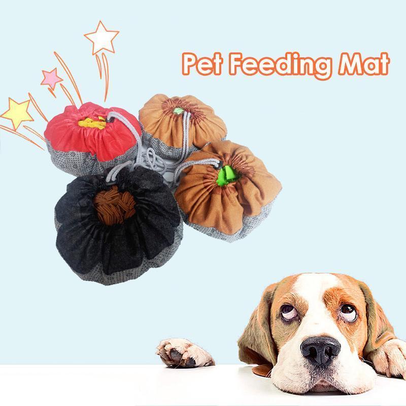 Pet Feeding Training Mat