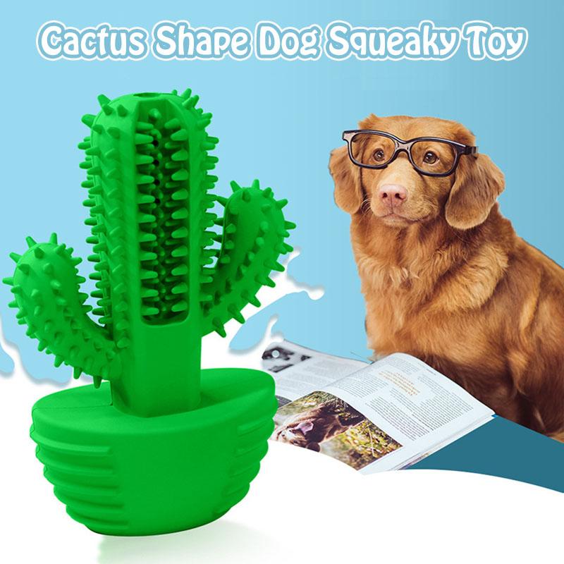 Cactus Toothbrush Toy