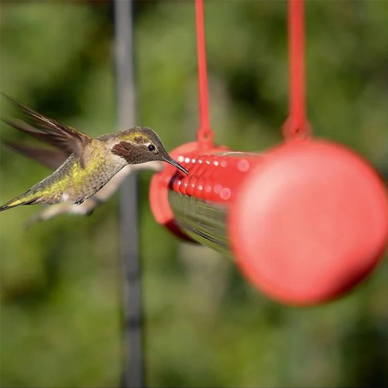 Hanging Hummingbird Feeder