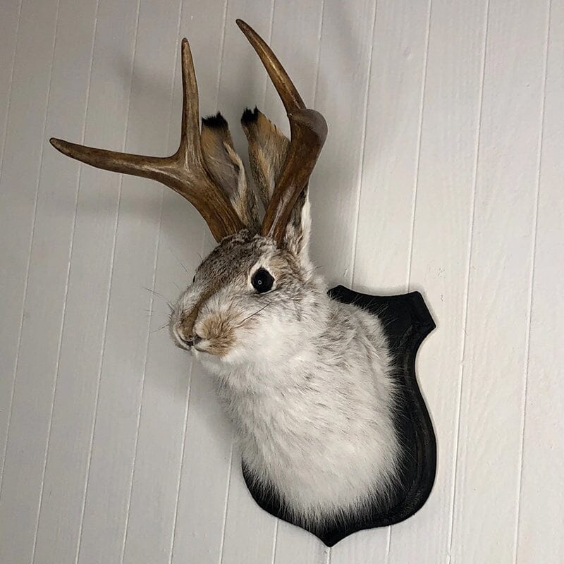 Resin Bunny Wall Decoration