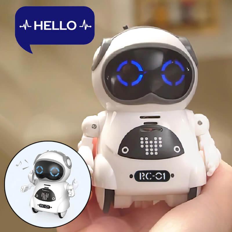 Mini Pocket Robot with Interactive Function