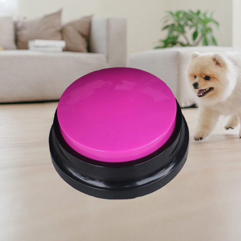 Recordable Talking Easy Carry Voice Recording Sound Button Pet Training