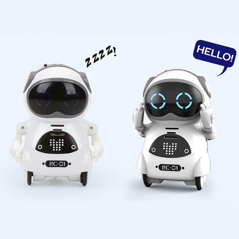 Mini Pocket Robot with Interactive Function