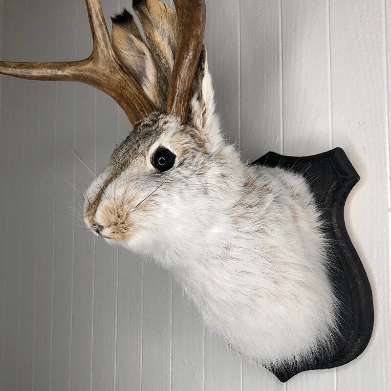 Resin Bunny Wall Decoration